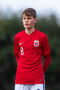 Norges Almar Grindheim