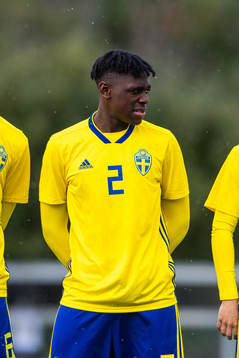 Sveriges William Rashidi