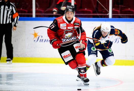 Malmö Redhawks Pathrik Westerholm och Djurgårdens Marcus