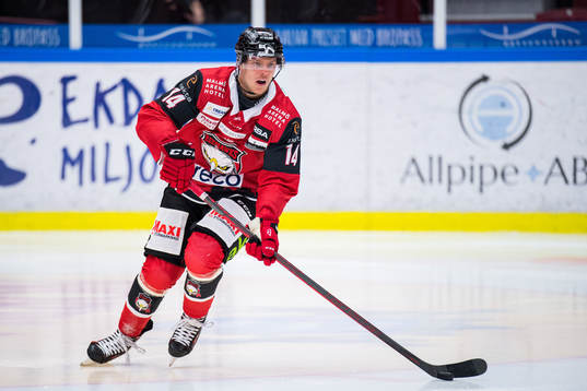 Malmö Redhawks Carl-Johan Lerby