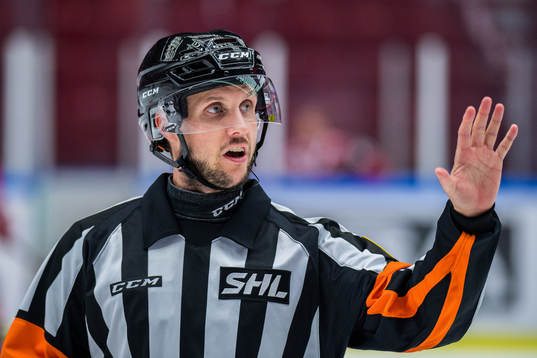 Domare Patric Bjälkander