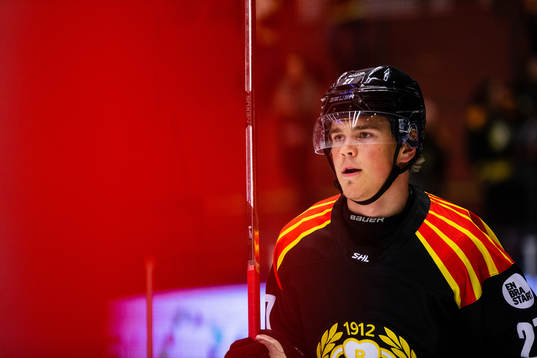 Brynäs Alexander Ljungkrantz