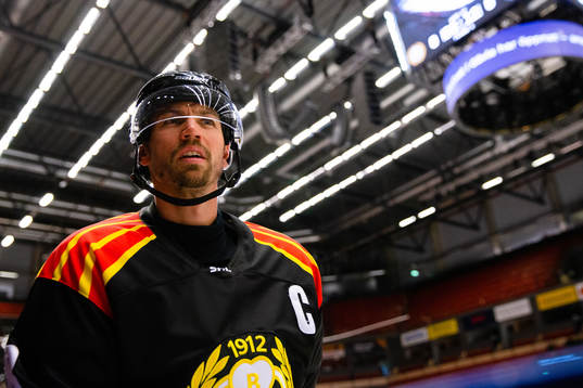 Brynäs Anton Rödin