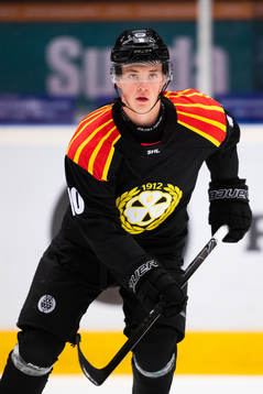 Brynäs Noel Gunler