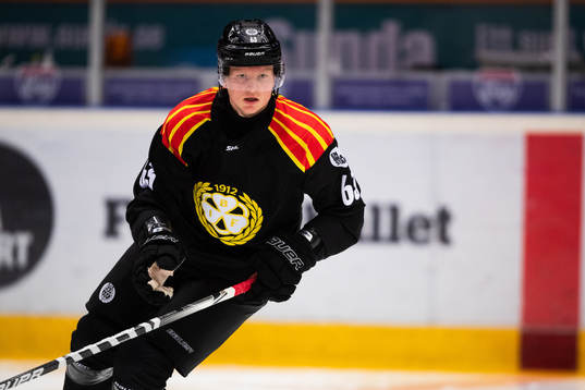 Brynäs Julius Bergman