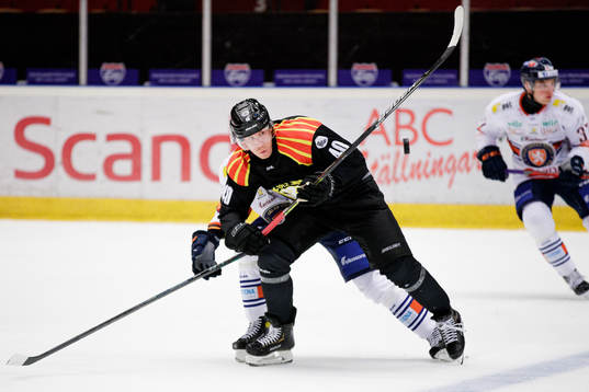 Brynäs Tomi Sallinen