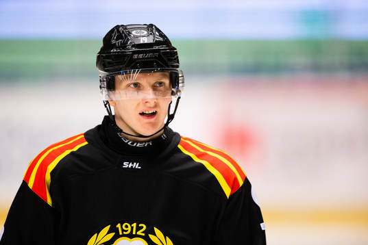 Brynäs Daniel Mannberg