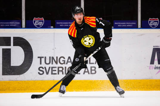 Brynäs Marcus Björk