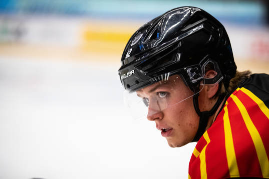 Brynäs Tom Hedberg