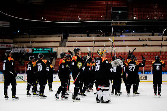 Brynäs spelare jublar