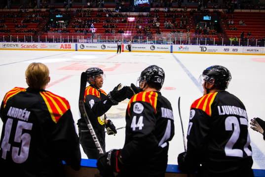Brynäs Anton Rödin jublar