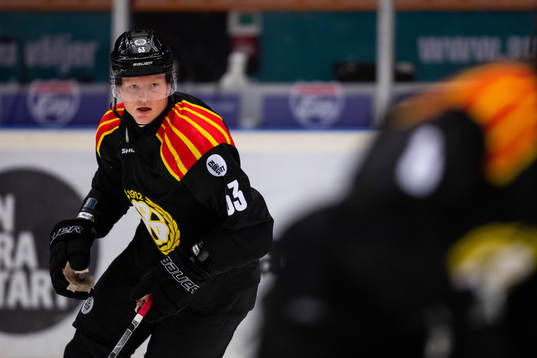 Brynäs Julius Bergman