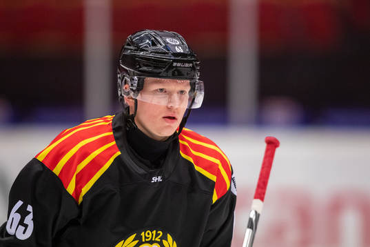 Brynäs Julius Bergman