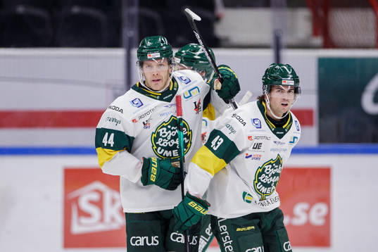 Bläddra bland fler bilder av Ishockey, Hockeyallsvenskan, Södertälje - Björklöven