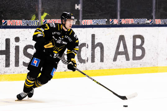 Västerås Ludvig Jardeskog
