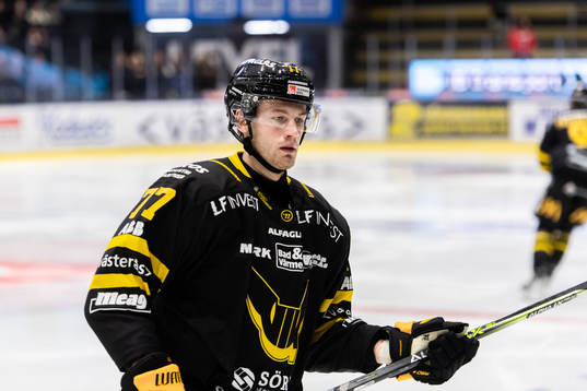 Västerås Ludvig Jardeskog