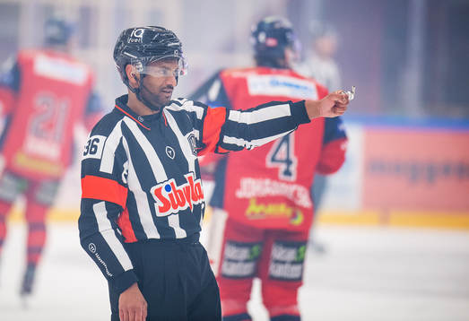 Domare Fredrik Rönnberg