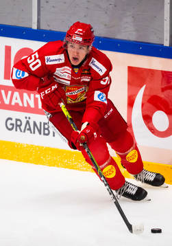 Almtunas Georgs Golovkovs