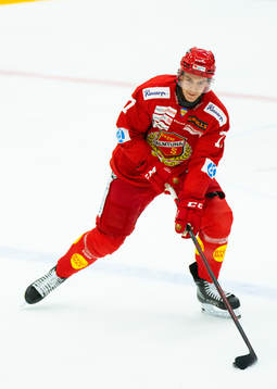 Almtunas Sebastian Benker