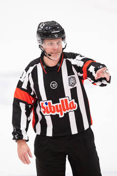 Domare Anders Sandahl