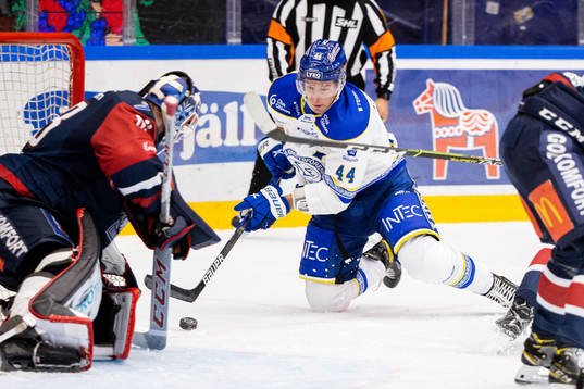 Leksands Carter Ashton
