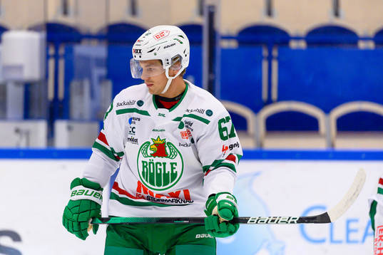 Rögles Leon Bristedt