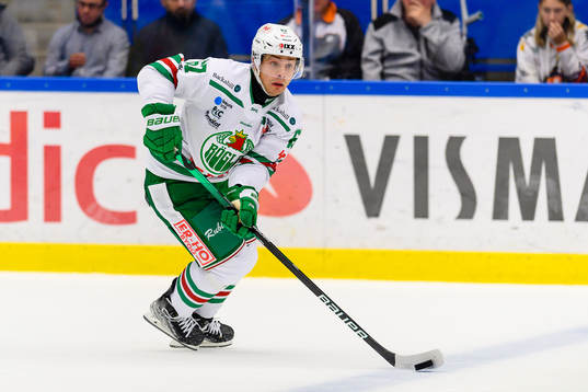 Rögles Leon Bristedt