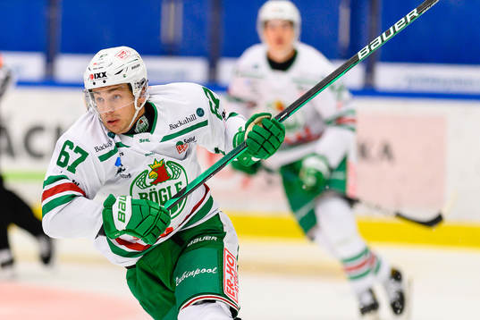 Rögles Leon Bristedt