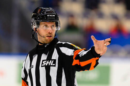 Domare Johan Magnusson