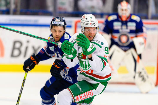 Rögles Adam Tambellini