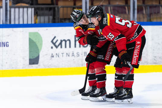 Luleås Konstantin Komarek och Vilmos Gallo deppar