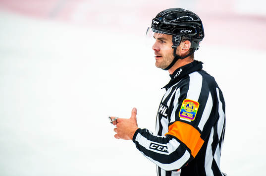 Domare Richard Magnusson