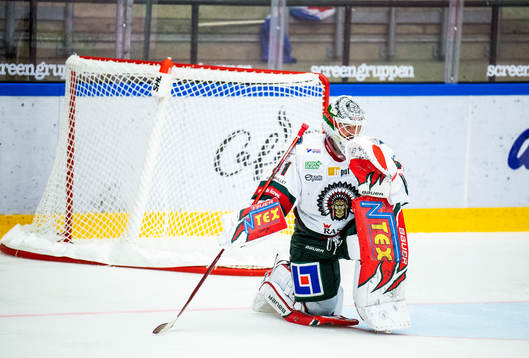Frölundas målvakt Niklas Rubin