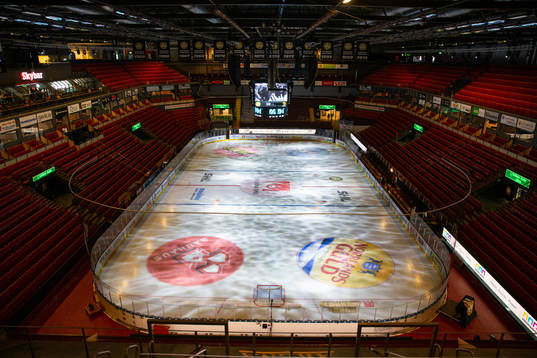 Monitor ERP Arena