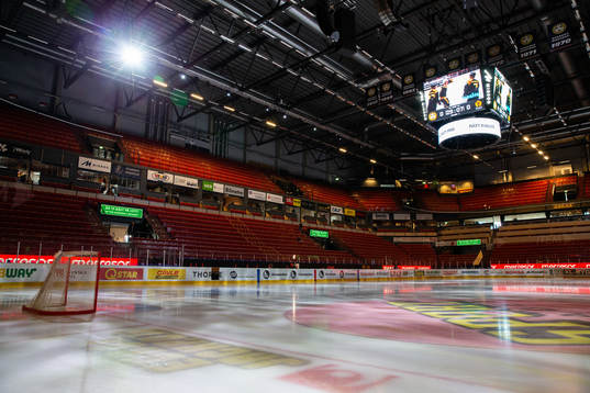 Monitor ERP Arena