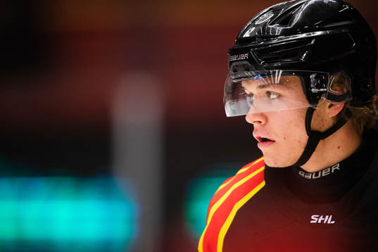Brynäs Tom Hedberg