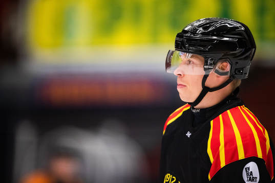 Brynäs Tomi Sallinen