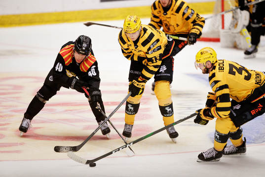 Brynäs Tomi Sallinen i en kamp mot  Skellefteås Stefan