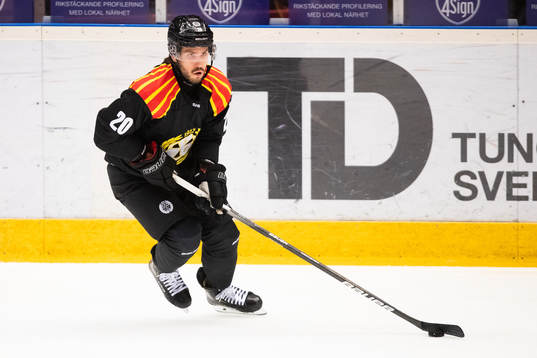 Brynäs Oula Palve