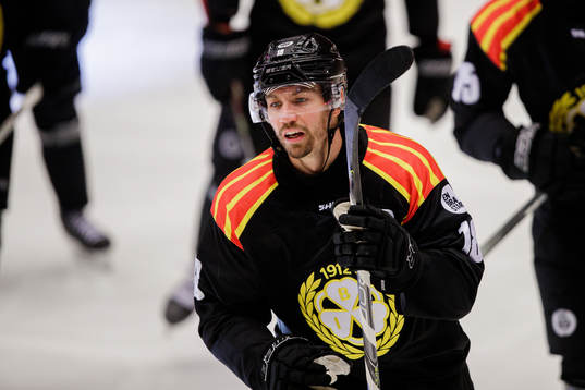 Brynäs Anton Rödin jublar