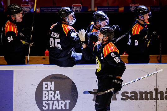 Brynäs Anton Rödin jublar