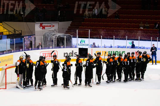 Brynäs jublar