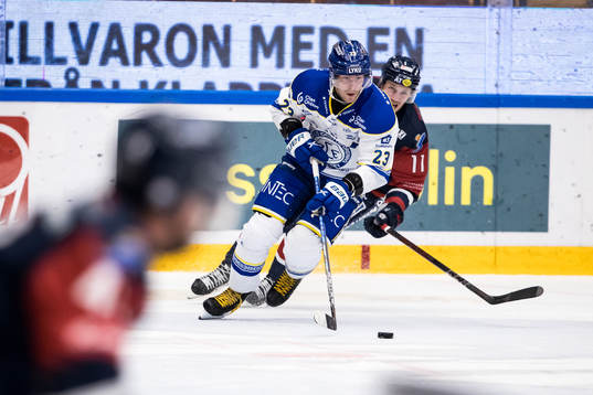Leksands Mikael Ruohomaa