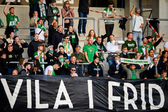 Hammarbys supportrar