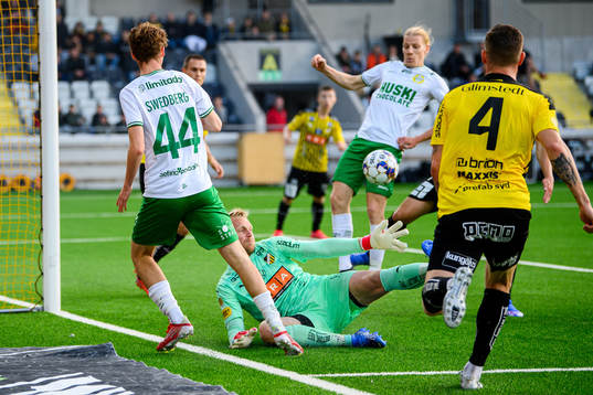 Hammarbys målvakt David Ousted