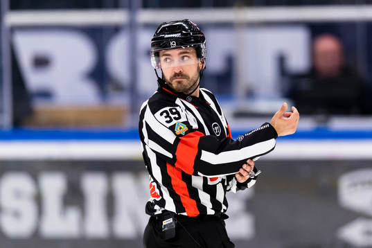 Domare Mattias Enroth