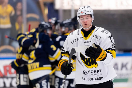 Västerås Ludvig Jardeskog deppar