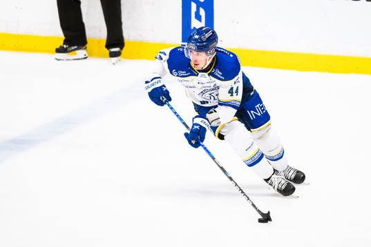 Leksands Carter Ashton