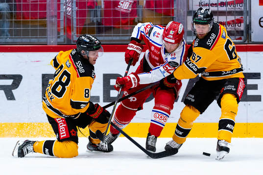 Luleås Joonas Rask och Timrås Christopher Liljewall och