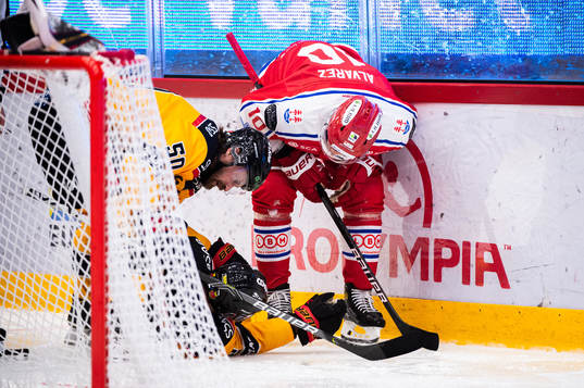 Timrås Robin Alvarez